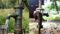 Khagaria Villages Report Boiling Groundwater Mystery