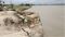 Bihar Flood News : खगड़िया के चौथम में तेज हुआ कोसी का कटाव, देखते ही देखते नदी में समाये आधा दर्जन परिवारों के घर, इलाके में मची अफरा तफरी 