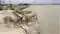 Bihar Flood News : खगड़िया के चौथम में तेज हुआ कोसी का कटाव, देखते ही देखते नदी में समाये आधा दर्जन परिवारों के घर, इलाके में मची अफरा तफरी 