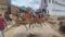 murdered in Nawada 
