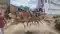 murdered in Nawada 