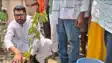 Plantation drive by Manoj kumar 