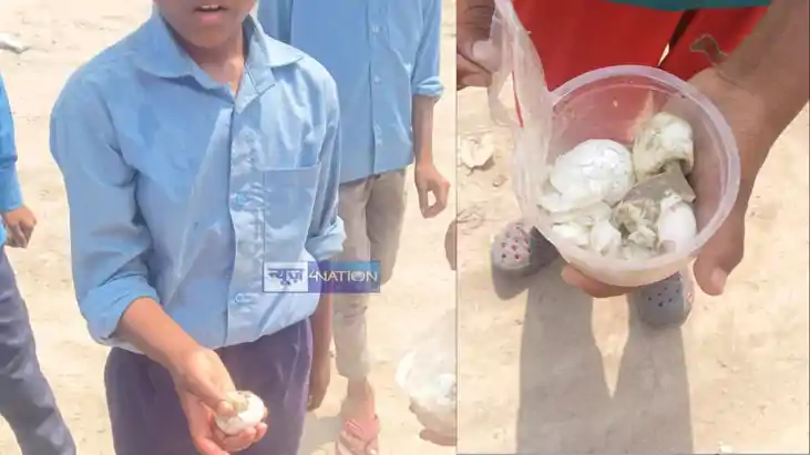 Motihari Worm found in mid day meal probe ordered after 15 d