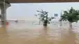 Gandhighat Ganga water