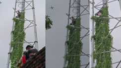 woman climbed a mobile tower in Naubatpur