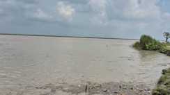 Human Body Alert in Gandak Triggers Search No Body Found