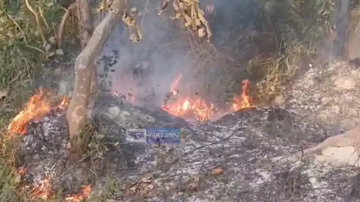 Valmiki Tiger Reserve forest 