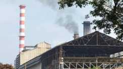 Bihar Offers 70 Cr Aid 1 Land for New Sugar Mills