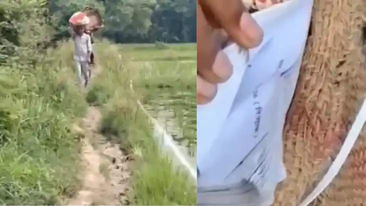 Bihar News : गयाजी के सरकारी स्कूल में किताबों की खरीद-बिक्र