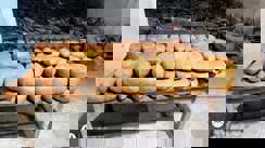 Bihar Crime : भोजपुर पुलिस की बड़ी कार्रवाई, 76 किलो गांजे के साथ तीन तस्कर को किया गिरफ्तार, जाइलो गाड़ी से हो रही थी तस्करी