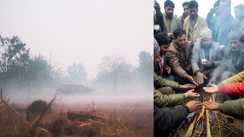 Cold Wave Fog Grip Bihar