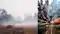 Cold Wave Fog Grip Bihar