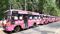 Bihar Pink Bus
