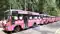 Bihar Pink Bus