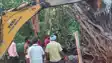 Bihar News - तेज आंधी में टूटकर झोपड़ी पर गिरा बरगद का विशाल पेड़, घर में सोए वृद्ध की दबकर मौत, शव निकालने के लिए बुलानी पड़ी जेसीबी