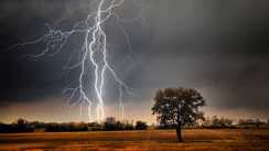 Weather Forecast