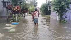 Bihar Flood: गंडक का रिंग बांध टूटा, सैकड़ों घरों में घुसा बाढ़ का पानी