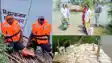 punpun river flood paliganj relief work started