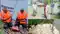 punpun river flood paliganj relief work started