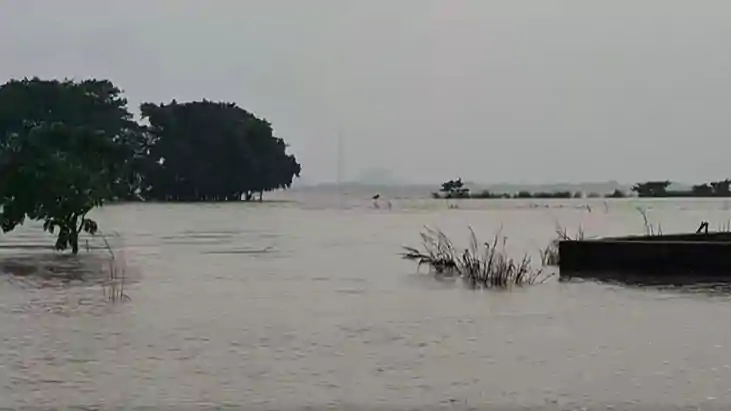 Ganga Nears HFL in Mokama Floodwater Forces Seven Schools to