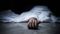 Bihar Crime News : लव मैरेज के बाद पति ने पत्नी की हत्या कर जलाया शव, आरोपी की तलाश में जुटी पुलिस 