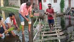 Mokama Flood Fury Paddy Protest Over Severe Waterlogging