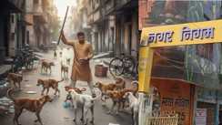 आवारा कुत्तों 