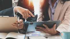  7 new professional courses