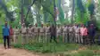 Bihar News : भागलपुर में अवैध आरा मिलों पर वन विभाग का बड़ा एक्शन, दो स्थानों पर टीम ने की छापेमारी, मशीनें और कीमती लकड़ियां किया जब्त