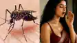 Patna, Dengue