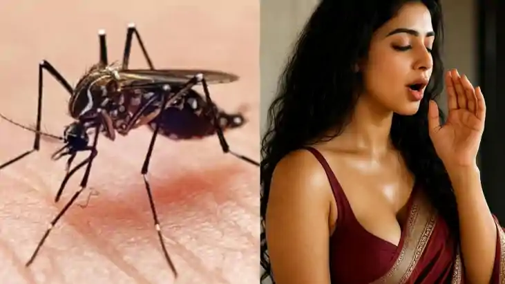 Patna, Dengue