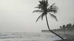 Weather forecast