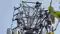 UP Woman Climbs Mobile Tower After Lover Refuses to Meet