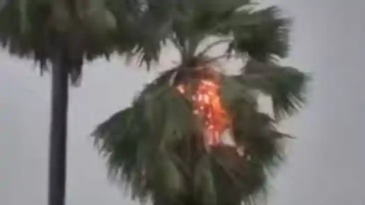 Lightning Strikes Palm Tree Sparks Fire Amid Storm in Nawada