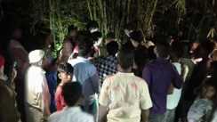 शराब पार्टी के बाद दरिंदगी: प्रेमिका को मक्के के खेत में बुलाया, गैंगरेप और हत्या से दहला बिहार 