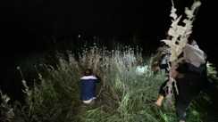 Bihar News : गोपालगंज में लहलहा रही अफीम की खेती को पुलिस ने किया नष्ट, लाखों की फसल किया बरामद, मौके से नाबालिग को हिरासत में लिया