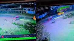 हाजीपुर में कुत्तों के झुंड ने ली युवक की जान: बाइक से गिरकर 25 वर्षीय सचिन की मौत, CCTV में कैद हुई घटना