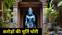 300 year old sapphire stone idol of Ram Janaki stole
