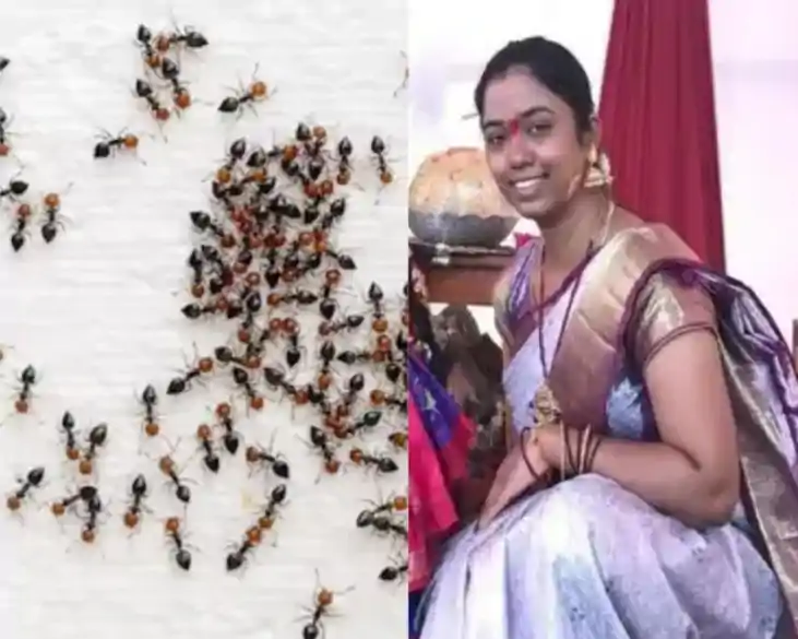 चिटिंयों के डर से महिला ने की खुदकुशी, कमरे में फंदे से लटकी