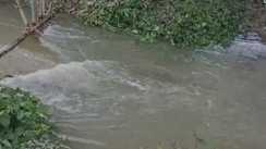 Bihar Flood: बागमती के बाद अब लखनदेई नदी उफान पर,  निचले इलाकों में तेजी से प्रवेश कर रहा बाढ़ का पानी, संकट में लोग