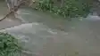 Bihar Flood: बागमती के बाद अब लखनदेई नदी उफान पर,  निचले इलाकों में तेजी से प्रवेश कर रहा बाढ़ का पानी, संकट में लोग