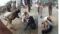 Samastipur Police Attack