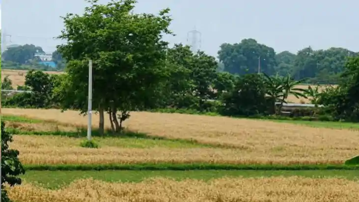 Bihar Land Mutation