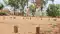 oung Man Found Buried in Cemetery 
