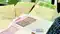 Bihar Land Registry