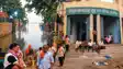 Hajipur Flood 