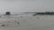 Bihar Flood Fury Five Dead 