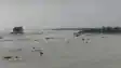 Bihar Flood Fury Five Dead 