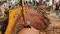 Bihar Flood:पुनपुन के प्रहार से बिहटा-सरमेरा एसएच-78 धंसा, एक लेन किया गया बंद,पटना में बाढ़ का संकट बरकरार, मोकामा में यातायात प्रभावित