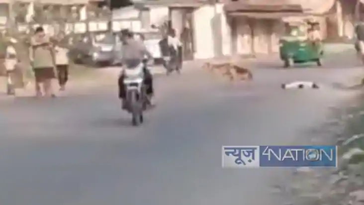Viral Video: सड़क पर कुत्ते को गोली मारने का वीडियो वायरल, घ